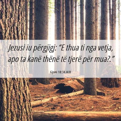 Picture 06 - Gjoni 18:34 ALB - Jezusi iu përgjigj: “E thua ti nga vetja, apo - Bible Verse Picture