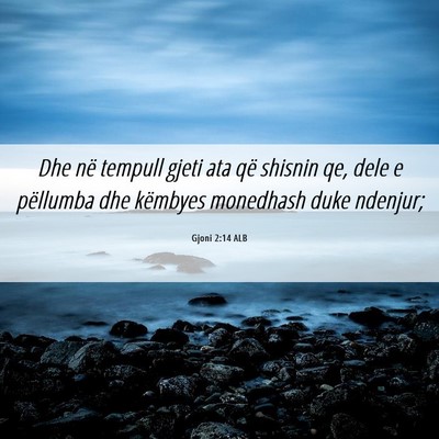 Picture 06 - Gjoni 2:14 ALB - Dhe në tempull gjeti ata që shisnin qe, dele e - Bible Verse Picture