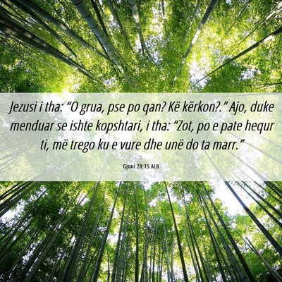 Picture 06 - Gjoni 20:15 ALB - Jezusi i tha: “O grua, pse po qan? Kë - Bible Verse Picture