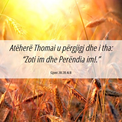 Picture 06 - Gjoni 20:28 ALB - Atëherë Thomai u përgjigj dhe i tha: “Zoti - Bible Verse Picture