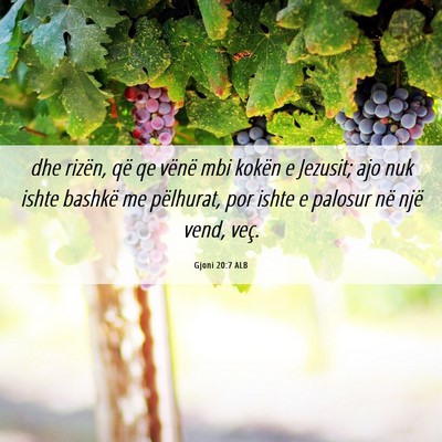 Picture 06 - Gjoni 20:7 ALB - dhe rizën, që qe vënë mbi kokën e Jezusit; - Bible Verse Picture