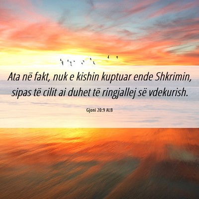 Picture 06 - Gjoni 20:9 ALB - Ata në fakt, nuk e kishin kuptuar ende Shkrimin, - Bible Verse Picture