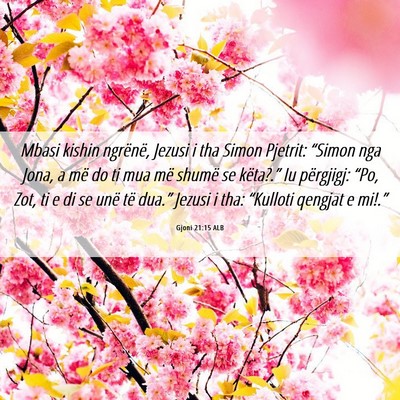 Picture 06 - Gjoni 21:15 ALB - Mbasi kishin ngrënë, Jezusi i tha Simon - Bible Verse Picture