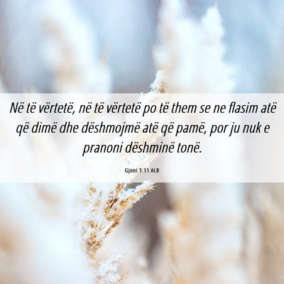 Picture 06 - Gjoni 3:11 ALB - Në të vërtetë, në të vërtetë po të them - Bible Verse Picture
