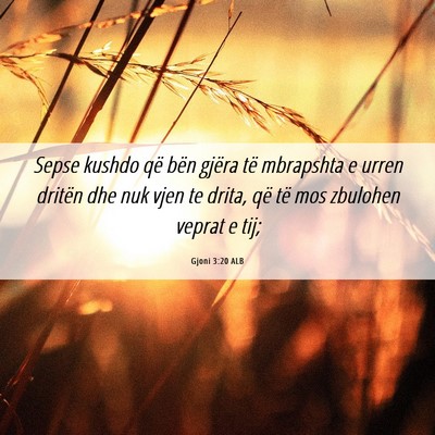 Picture 06 - Gjoni 3:20 ALB - Sepse kushdo që bën gjëra të mbrapshta e - Bible Verse Picture