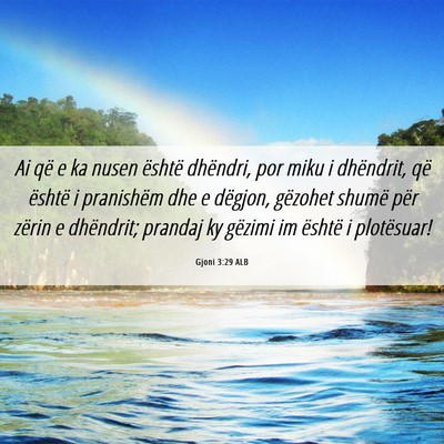Picture 06 - Gjoni 3:29 ALB - Ai që e ka nusen është dhëndri, por miku i - Bible Verse Picture