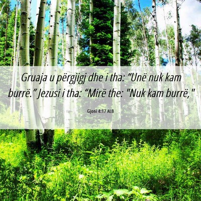 Picture 06 - Gjoni 4:17 ALB - Gruaja u përgjigj dhe i tha: “Unë nuk kam - Bible Verse Picture