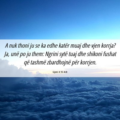 Picture 06 - Gjoni 4:35 ALB - A nuk thoni ju se ka edhe katër muaj dhe vjen - Bible Verse Picture