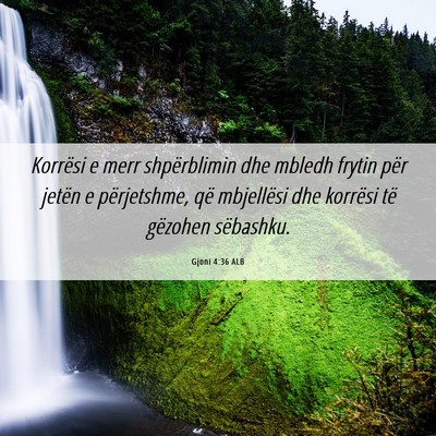 Picture 06 - Gjoni 4:36 ALB - Korrësi e merr shpërblimin dhe mbledh frytin - Bible Verse Picture