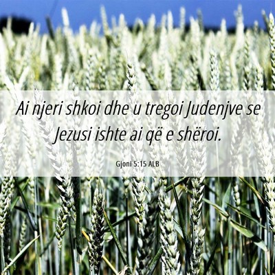 Picture 06 - Gjoni 5:15 ALB - Ai njeri shkoi dhe u tregoi Judenjve se Jezusi - Bible Verse Picture