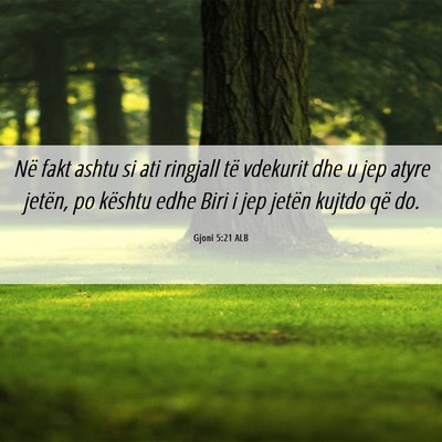 Picture 06 - Gjoni 5:21 ALB - Në fakt ashtu si ati ringjall të vdekurit dhe u - Bible Verse Picture