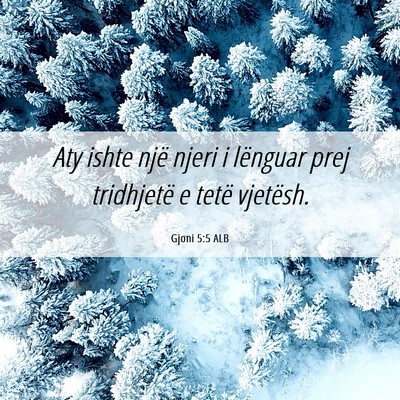 Picture 06 - Gjoni 5:5 ALB - Aty ishte një njeri i lënguar prej tridhjetë e - Bible Verse Picture