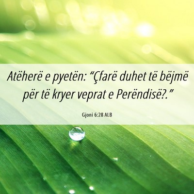 Picture 06 - Gjoni 6:28 ALB - Atëherë e pyetën: “Çfarë duhet të bëjmë - Bible Verse Picture