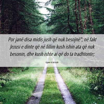 Picture 06 - Gjoni 6:64 ALB - Por janë disa midis jush që nuk besojnë”; - Bible Verse Picture