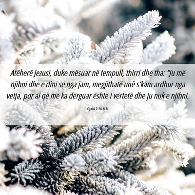 Picture 06 - Gjoni 7:28 ALB - Atëherë Jezusi, duke mësuar në tempull, - Bible Verse Picture