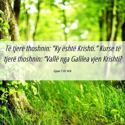 Picture 06 - Gjoni 7:41 ALB - Të tjerë thoshnin: “Ky është Krishti.” - Bible Verse Picture