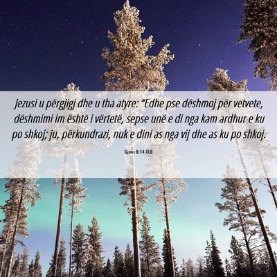 Picture 06 - Gjoni 8:14 ALB - Jezusi u përgjigj dhe u tha atyre: “Edhe pse - Bible Verse Picture