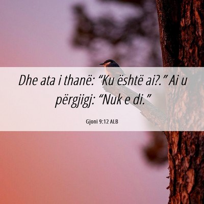 Picture 06 - Gjoni 9:12 ALB - Dhe ata i thanë: “Ku është ai?.” Ai u - Bible Verse Picture