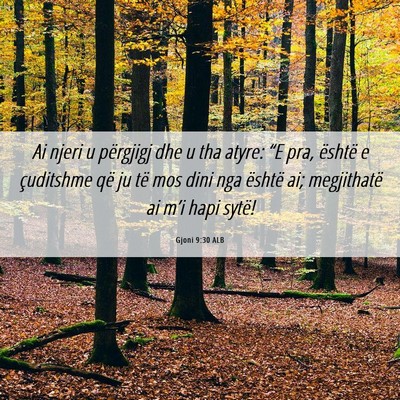 Picture 06 - Gjoni 9:30 ALB - Ai njeri u përgjigj dhe u tha atyre: “E pra, - Bible Verse Picture