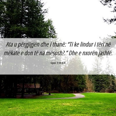 Picture 06 - Gjoni 9:34 ALB - Ata u përgjigjën dhe i thanë: “Ti ke lindur - Bible Verse Picture