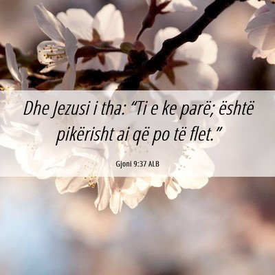 Picture 06 - Gjoni 9:37 ALB - Dhe Jezusi i tha: “Ti e ke parë; është - Bible Verse Picture