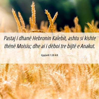 Picture 06 - Gjyqtarët 1:20 ALB - Pastaj i dhanë Hebronin Kalebit, ashtu si kishte - Bible Verse Picture