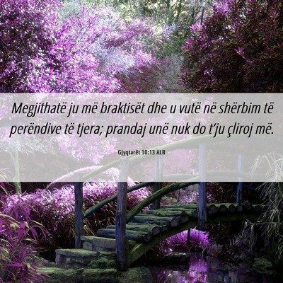 Picture 06 - Gjyqtarët 10:13 ALB - Megjithatë ju më braktisët dhe u vutë në - Bible Verse Picture