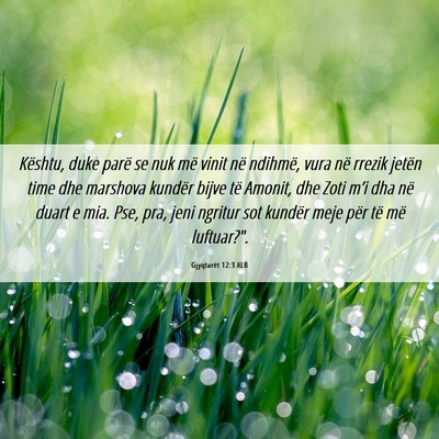 Picture 06 - Gjyqtarët 12:3 ALB - Kështu, duke parë se nuk më vinit në ndihmë, - Bible Verse Picture