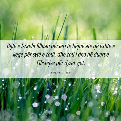 Picture 06 - Gjyqtarët 13:1 ALB - Bijtë e Izraelit filluan përsëri të bëjnë - Bible Verse Picture