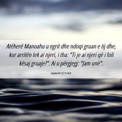 Picture 06 - Gjyqtarët 13:11 ALB - Atëherë Manoahu u ngrit dhe ndoqi gruan e tij - Bible Verse Picture