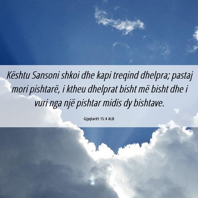 Picture 06 - Gjyqtarët 15:4 ALB - Kështu Sansoni shkoi dhe kapi treqind dhelpra; - Bible Verse Picture
