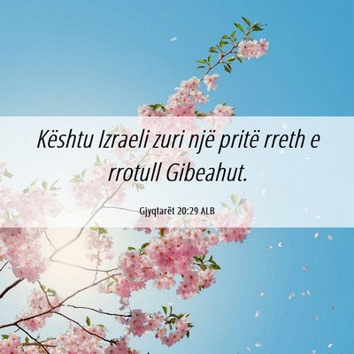 Picture 06 - Gjyqtarët 20:29 ALB - Kështu Izraeli zuri një pritë rreth e rrotull - Bible Verse Picture