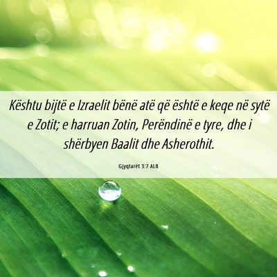 Picture 06 - Gjyqtarët 3:7 ALB - Kështu bijtë e Izraelit bënë atë që është - Bible Verse Picture