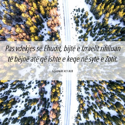 Picture 06 - Gjyqtarët 4:1 ALB - Pas vdekjes së Ehudit, bijtë e Izraelit - Bible Verse Picture