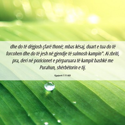 Picture 06 - Gjyqtarët 7:11 ALB - dhe do të dëgjosh çfarë thonë; mbas kësaj, - Bible Verse Picture