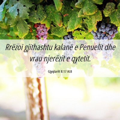Picture 06 - Gjyqtarët 8:17 ALB - Rrëzoi gjithashtu kalanë e Penuelit dhe vrau - Bible Verse Picture