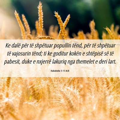 Picture 06 - Habakuku 3:13 ALB - Ke dalë për të shpëtuar popullin tënd, për - Bible Verse Picture