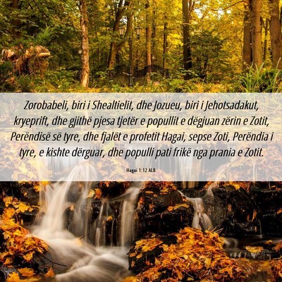 Picture 06 - Hagai 1:12 ALB - Zorobabeli, biri i Shealtielit, dhe Jozueu, biri - Bible Verse Picture