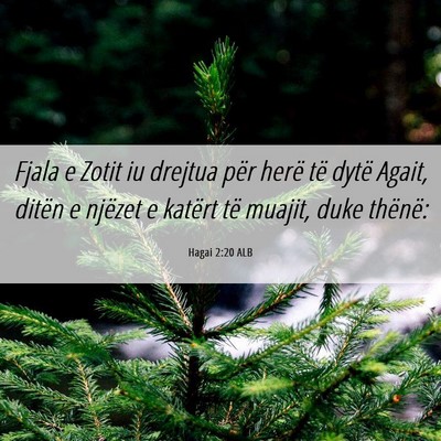 Picture 06 - Hagai 2:20 ALB - Fjala e Zotit iu drejtua për herë të dytë - Bible Verse Picture