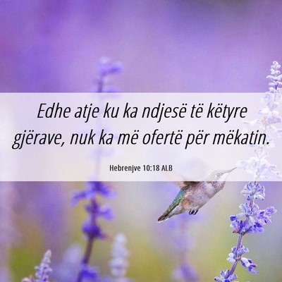 Picture 06 - Hebrenjve 10:18 ALB - Edhe atje ku ka ndjesë të këtyre gjërave, nuk - Bible Verse Picture