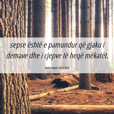 Picture 06 - Hebrenjve 10:4 ALB - sepse është e pamundur që gjaku i demave dhe i - Bible Verse Picture