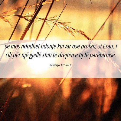Picture 06 - Hebrenjve 12:16 ALB - se mos ndodhet ndonjë kurvar ose profan, si - Bible Verse Picture