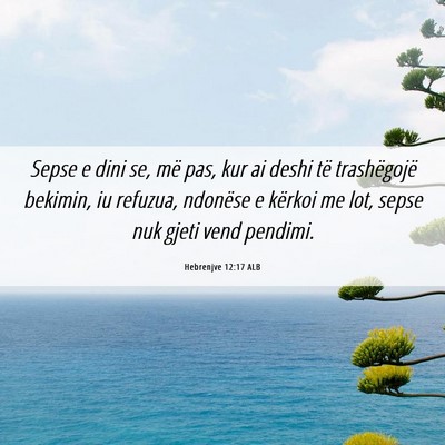 Picture 06 - Hebrenjve 12:17 ALB - Sepse e dini se, më pas, kur ai deshi të - Bible Verse Picture