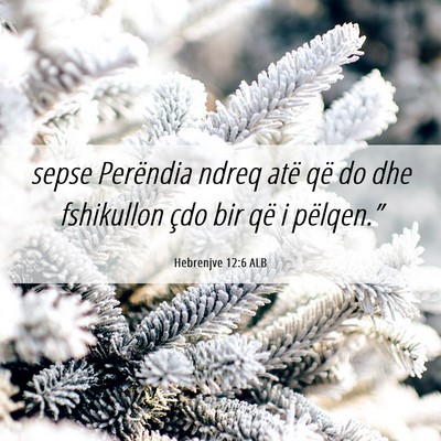 Picture 06 - Hebrenjve 12:6 ALB - sepse Perëndia ndreq atë që do dhe fshikullon - Bible Verse Picture