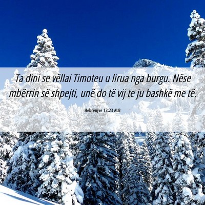 Picture 06 - Hebrenjve 13:23 ALB - Ta dini se vëllai Timoteu u lirua nga burgu. - Bible Verse Picture