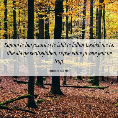 Picture 06 - Hebrenjve 13:3 ALB - Kujtoni të burgosurit si të ishit të lidhur - Bible Verse Picture