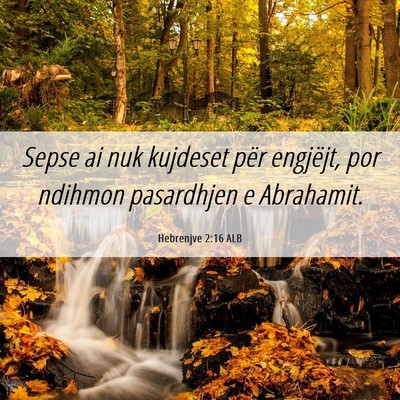 Picture 06 - Hebrenjve 2:16 ALB - Sepse ai nuk kujdeset për engjëjt, por ndihmon - Bible Verse Picture