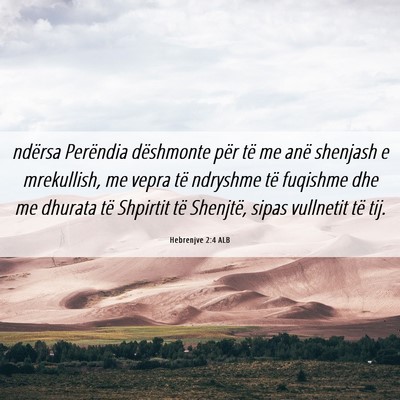 Picture 06 - Hebrenjve 2:4 ALB - ndërsa Perëndia dëshmonte për të me anë - Bible Verse Picture