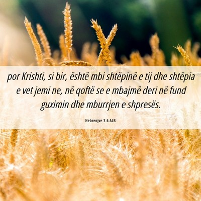 Picture 06 - Hebrenjve 3:6 ALB - por Krishti, si bir, është mbi shtëpinë e tij - Bible Verse Picture