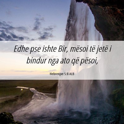 Picture 06 - Hebrenjve 5:8 ALB - Edhe pse ishte Bir, mësoi të jetë i bindur nga - Bible Verse Picture